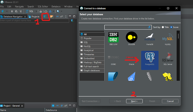 How to use postgres with DBeaver