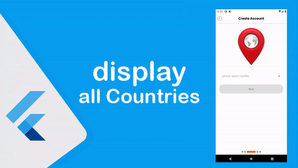 عرض جميع الدول والمناطق المخصصه لكل دولة في Flutter