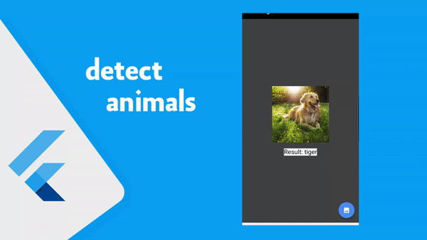 شرح كيفية انشاء model للتعرف على الصور باستخدام Flutter