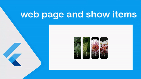 تصميم صفحة ويب لعرض مجموعه من العناصر واظهار التفاصيل عند تمرير الماوس باستخدام flutter